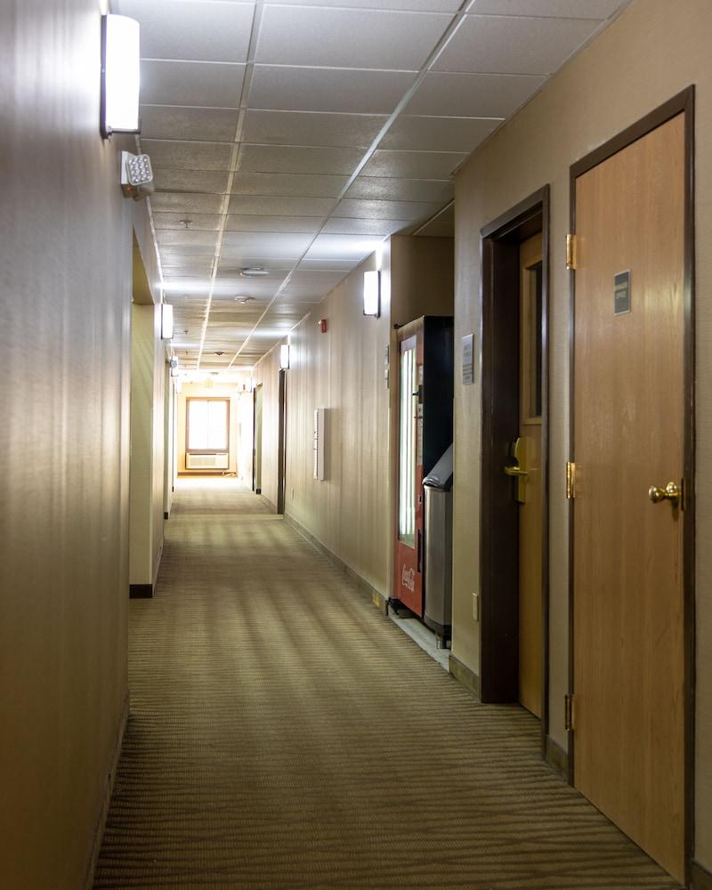 Red Roof Inn Newport News - Yorktown Extérieur photo